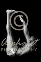 Alphabet® Photography Letter D                                          