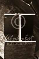 Alphabet® Photography Letter I                                          