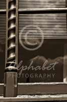 Alphabet® Photography Letter L                                          