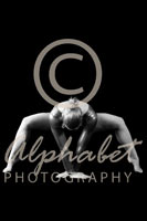 Alphabet® Photography Letter M                                          