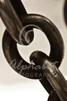 Alphabet® Photography Letter Q                                          