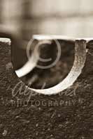 Alphabet® Photography Letter U                                          