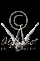 Alphabet® Photography Letter W                                          