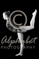 Alphabet® Photography Letter Y                                          