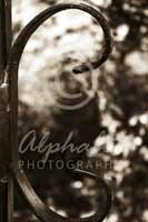 Alphabet® Photography Letter C