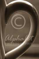 Alphabet® Photography Letter D