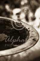 Alphabet® Photography Letter D