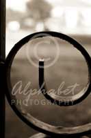 Alphabet® Photography Letter E