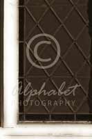 Alphabet® Photography Letter L