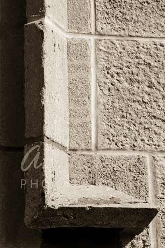 Letter L photography | Alphabet photography, Alphabet art ...