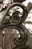 Alphabet® Photography Letter B                                          