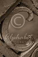 Alphabet® Photography Letter C                                          