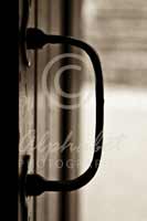 Alphabet® Photography Letter D                                          