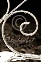 Alphabet® Photography Letter E                                          