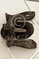 Alphabet® Photography Letter E                                          