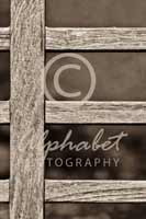 Alphabet® Photography Letter E                                          