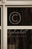 Alphabet® Photography Letter F                                          