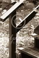 Alphabet® Photography Letter F                                          