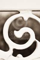 Alphabet® Photography Letter G                                          