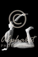 Alphabet® Photography Letter G                                          