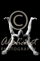 Alphabet® Photography Letter H                                          