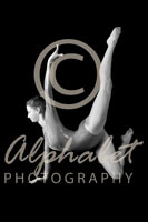 Alphabet® Photography Letter H                                          