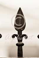 Alphabet® Photography Letter I                                          