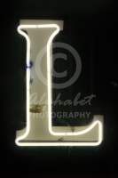 Alphabet® Photography Letter L                                          