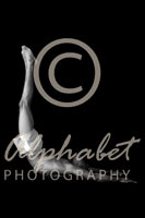 Alphabet® Photography Letter L                                          