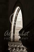 Alphabet® Photography Letter N                                          