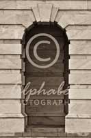 Alphabet® Photography Letter N                                          