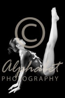 Alphabet® Photography Letter N                                          