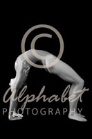 Alphabet® Photography Letter N                                          