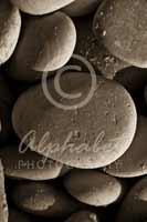 Alphabet® Photography Letter O                                          