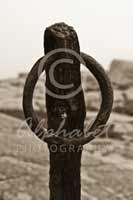 Alphabet® Photography Letter O                                          