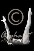 Alphabet® Photography Letter U                                          