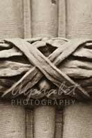 Alphabet® Photography Letter X                                          