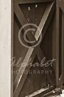 Alphabet® Photography Letter X                                          