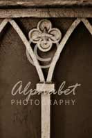 Alphabet® Photography Letter Y                                          