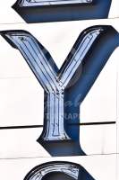 Alphabet® Photography Letter Y                                          