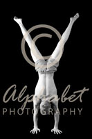 Alphabet® Photography Letter Y                                          