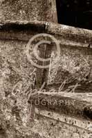Alphabet® Photography Letter Z                                          