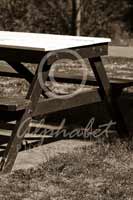 Alphabet® Photography Letter A