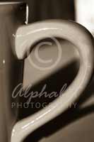 Alphabet® Photography Letter D