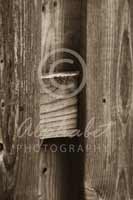 Alphabet® Photography Letter H