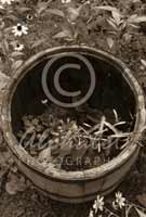 Alphabet® Photography Letter O