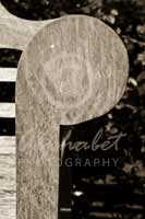 Alphabet® Photography Letter P