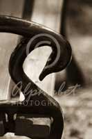 Alphabet® Photography Letter S