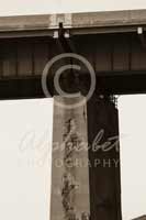 Alphabet® Photography Letter T