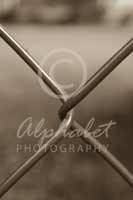 Alphabet® Photography Letter X